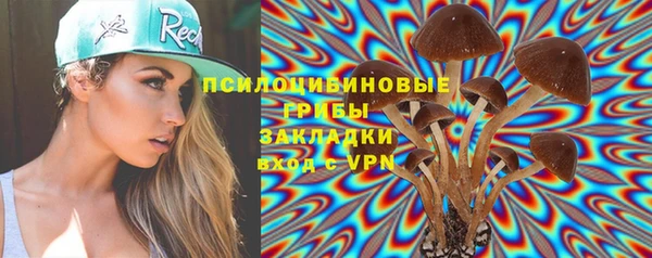 крисы Армянск