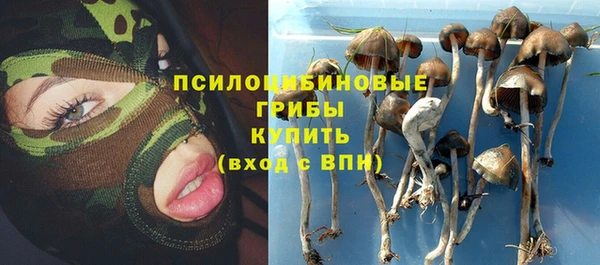 крисы Армянск