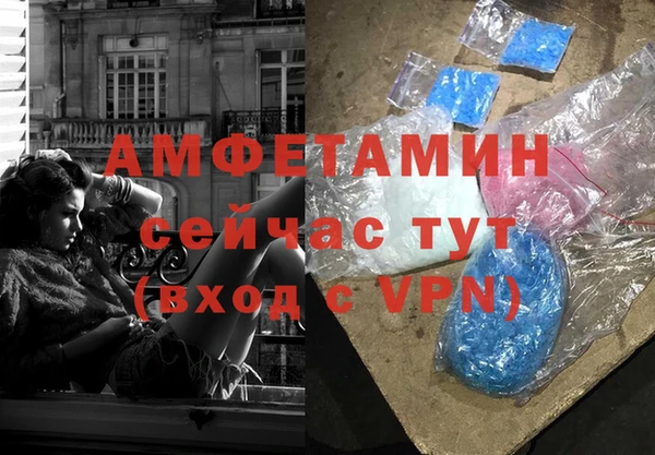 крисы Армянск