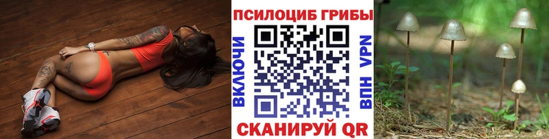 Купить  Азов  Псилоцибиновые грибы ЛСД 